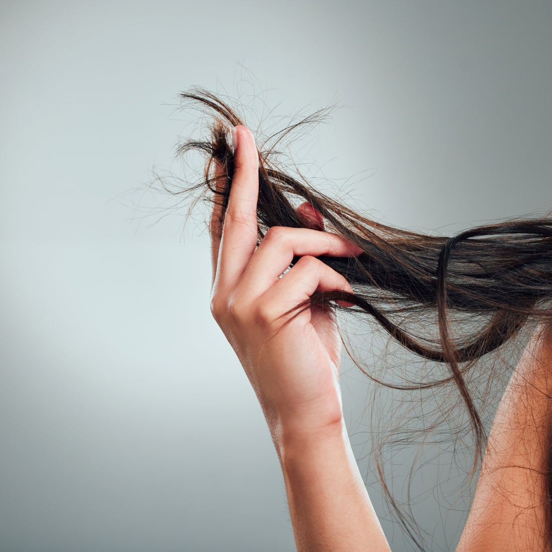 How to Fix Damaged Hair + Preventative Measures